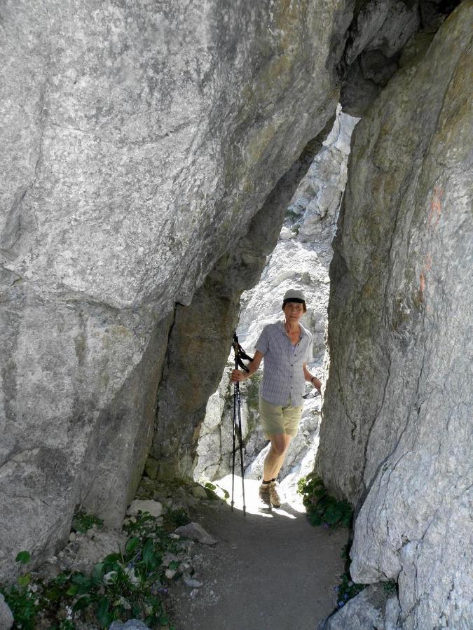 Ferienwohnungen Salvenmoser Johanna Scheffau am Wilden Kaiser Zewnętrze zdjęcie