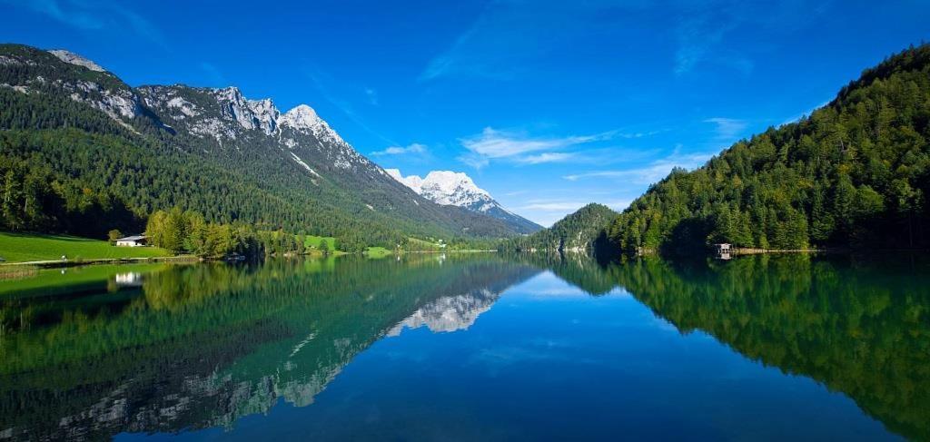 Ferienwohnungen Salvenmoser Johanna Scheffau am Wilden Kaiser Zewnętrze zdjęcie
