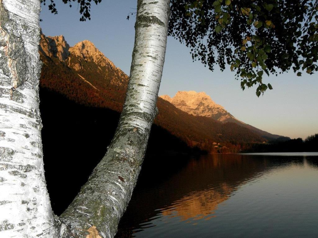 Ferienwohnungen Salvenmoser Johanna Scheffau am Wilden Kaiser Zewnętrze zdjęcie